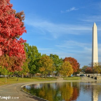 Fall in Washington DC Travel Guide