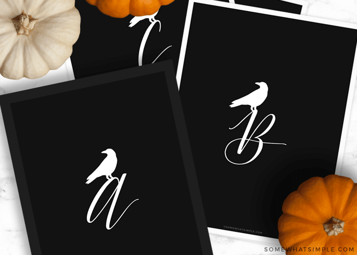 crow monograms with the letters A, B and C on black paper