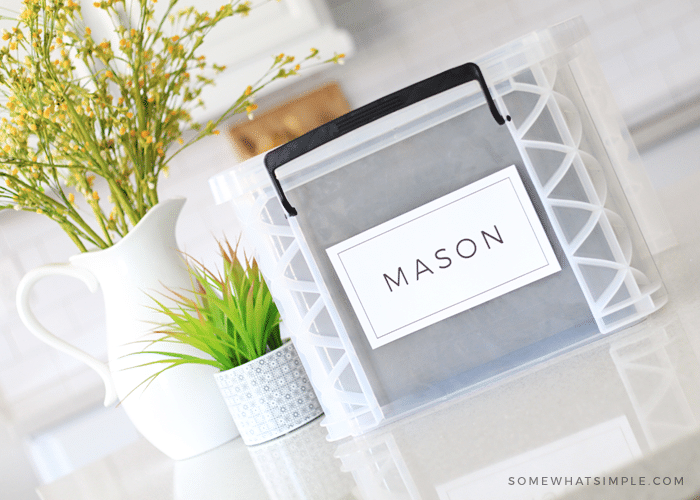 plastic file box on a white counter next to a plant