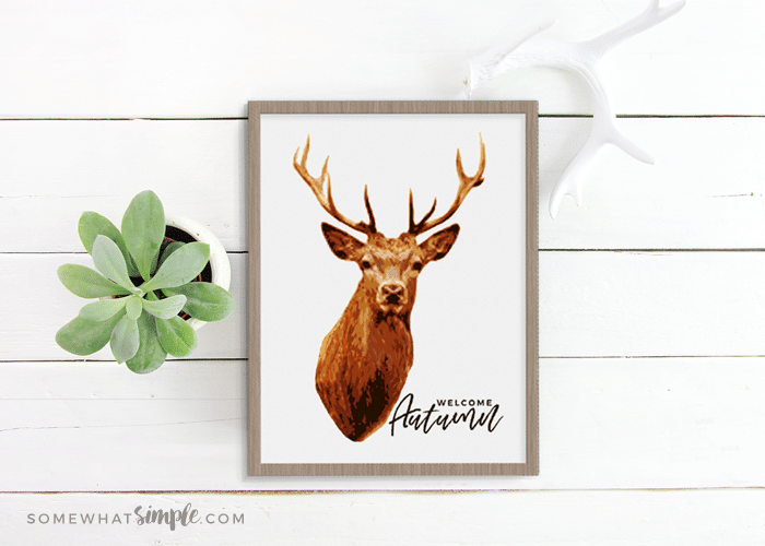 Deer Print Free Printable - from Somewhat Simple Living .com