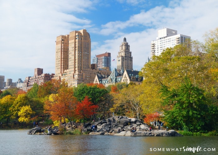 landscape picture of fall trees in new york with the city skyline in the background