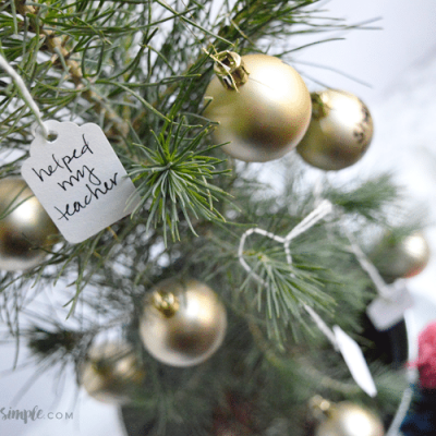 The Giving Tree – A Season of Service