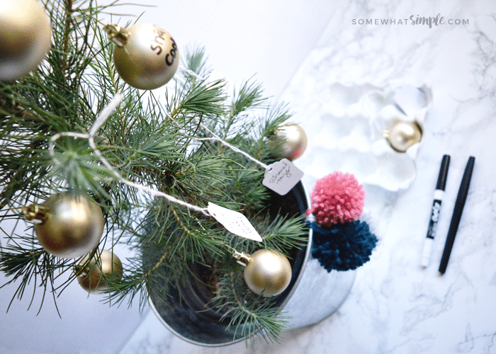 a small christmas tree in silver pot