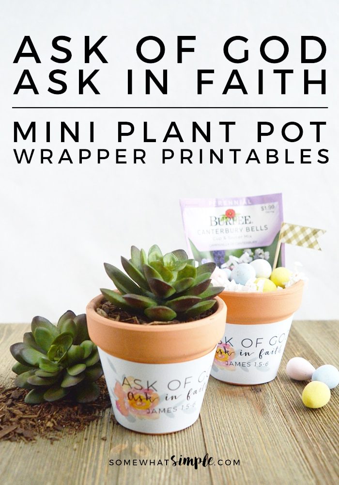 Ask of God. Ask in Faith. Mini Plant Pot Wrappers