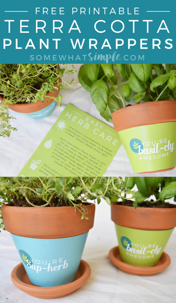 Free Printable Terra Cotta Plant Wrappers