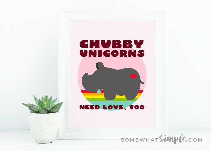 chubby unicorn rhino