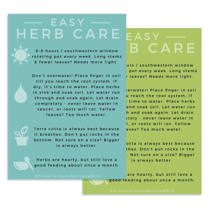 easy herb care printable