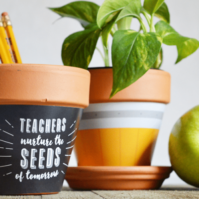 Back to School Teachers Gift || Printable Plant Wrapper