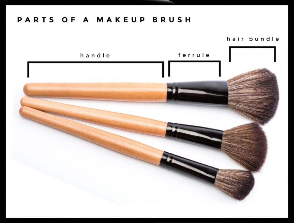 diagram showing 3 parts of a makeup brush
