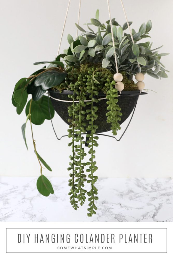 long image of a hanging planter