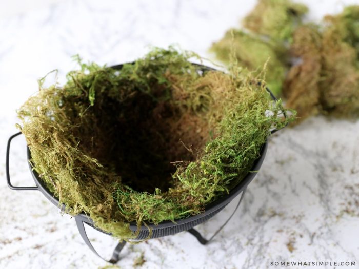 adding moss to a hanging planter