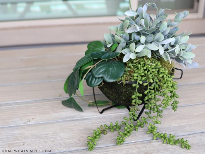 collander planter on a table
