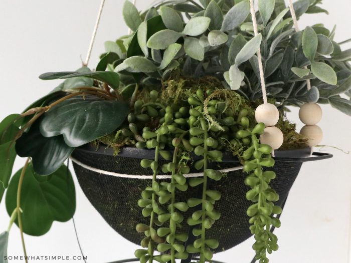 finished colander filled with plants