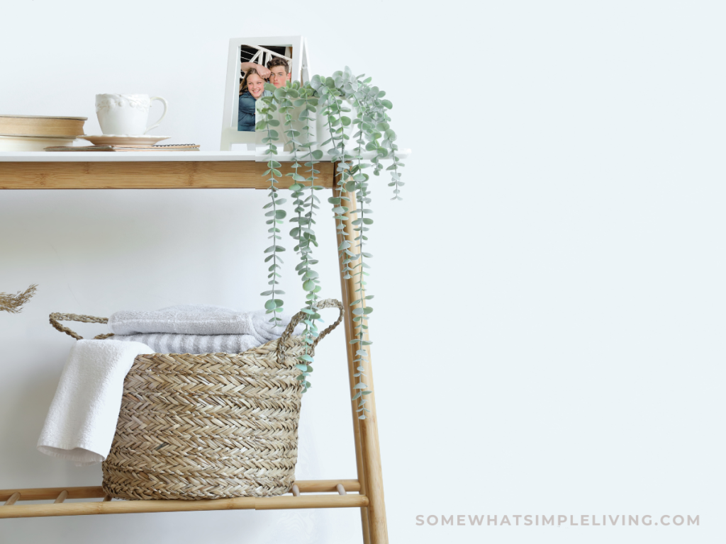 basket under a console table and a long plant on the side