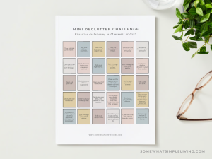 colorful mini declutter challenge calendar next to a plant