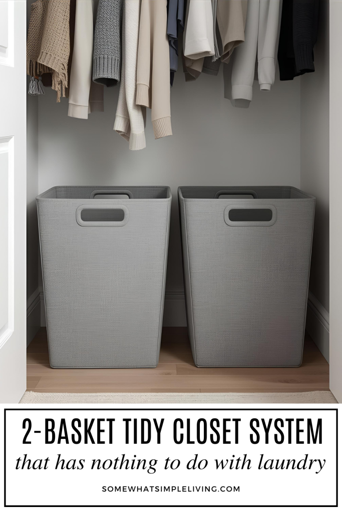 long image of a minimal closet