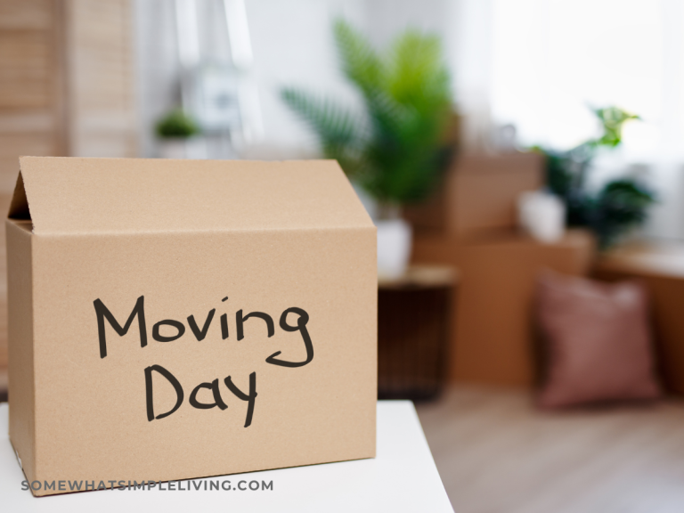 close up of box labeled "moving day" on a counter with more moving boxes in the background